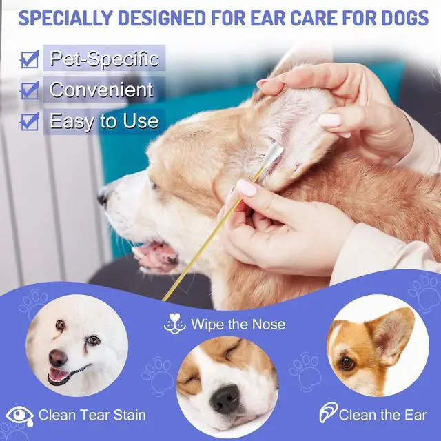 Alt view image 3 of 6 - 200PCS Large Cotton Swabs in Storage Box, 6 Inch Dog Ear Swabs