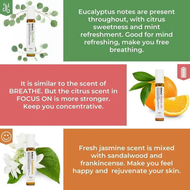 Alt view image 4 of 6 - Essential Oil Blends Set (Breathe, Focus on, Happiness), Natural Aromatherapy Roll On for Massage, Body Skin Care, Home - Natural Fragrance Gift Roller for Women and Men