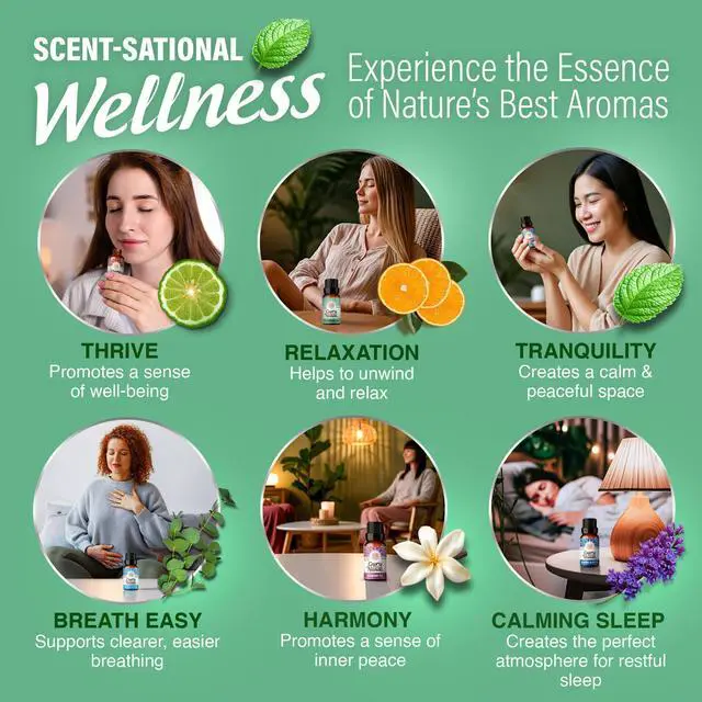 Alt view image 5 of 7 - Essential Oil Blends 6 Pack (10mL Each), Breathe Easy, Tranquility, Relaxation, Harmony, Calming Sleep & Thrive, Natural Aromatherapy Oils for Diffuser, Wellness & DIY