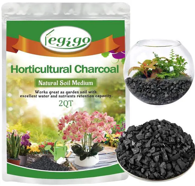 Main image of 2 QT Horticultural Charcoal- Natural Biochar Soil Amendment | Improves Soil Drainage & Aeration, Activated Charcoal for Plants, Terrariums, Orchids, Succulents, Bonsai and Potting Mix