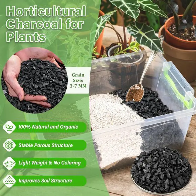 Alt view image 2 of 7 - 2 QT Horticultural Charcoal- Natural Biochar Soil Amendment | Improves Soil Drainage & Aeration, Activated Charcoal for Plants, Terrariums, Orchids, Succulents, Bonsai and Potting Mix