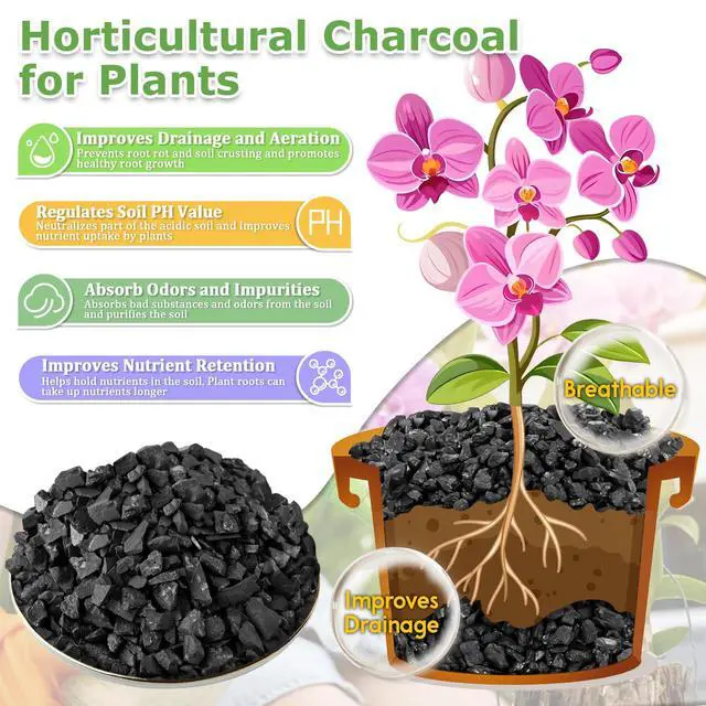 Alt view image 3 of 7 - 2 QT Horticultural Charcoal- Natural Biochar Soil Amendment | Improves Soil Drainage & Aeration, Activated Charcoal for Plants, Terrariums, Orchids, Succulents, Bonsai and Potting Mix