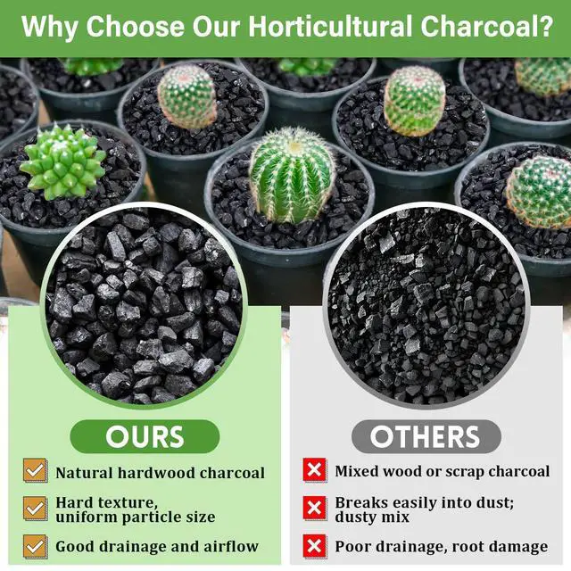 Alt view image 4 of 7 - 2 QT Horticultural Charcoal- Natural Biochar Soil Amendment | Improves Soil Drainage & Aeration, Activated Charcoal for Plants, Terrariums, Orchids, Succulents, Bonsai and Potting Mix