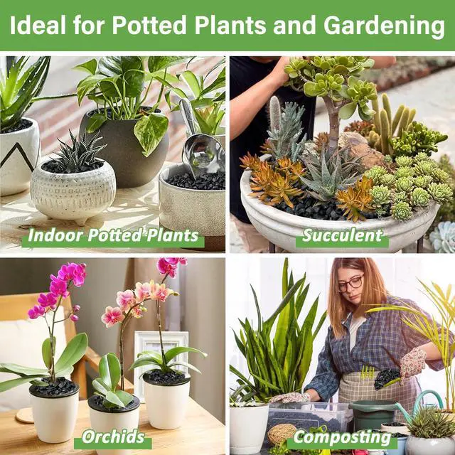 Alt view image 6 of 7 - 2 QT Horticultural Charcoal- Natural Biochar Soil Amendment | Improves Soil Drainage & Aeration, Activated Charcoal for Plants, Terrariums, Orchids, Succulents, Bonsai and Potting Mix