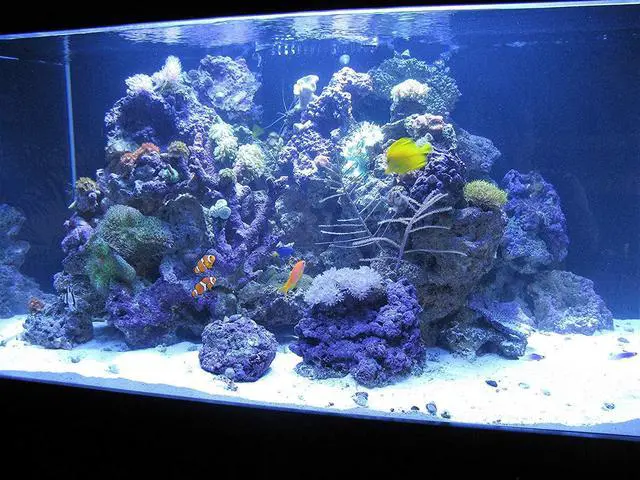 Alt view image 7 of 7 - Crystal Cal Activated Carbon Large Jar, Activated Charcoal for Aquariums and Fish Tanks