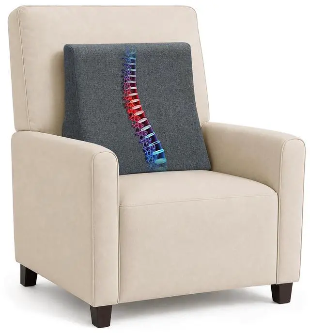 Main image of Lumbar Support Pillow for Sofa(Gray) | Rocking Chair Pillow for Lower Back Pain Relief/Lumbar Cushion for Sofa/Washable Cover