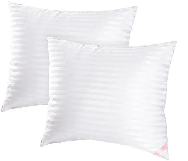 Main image of Throw Pillow Inserts, Machine Washable Pillows,Premium Polyester Fiber Fill for Sofa Bed & Decorative Cushions (White, 20x20inch)