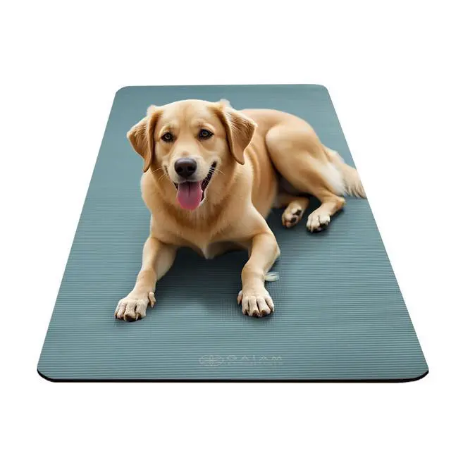 Alt view image 6 of 7 - Essentials Thick Yoga Mat with Easy-Cinch Strap (Balsam, 10mm) | Extra-Thick 10mm Cushioning | Textured Non-Slip Surface | Carrying Strap Included | Yoga, Pilates & Floor Workouts | 68"x24"