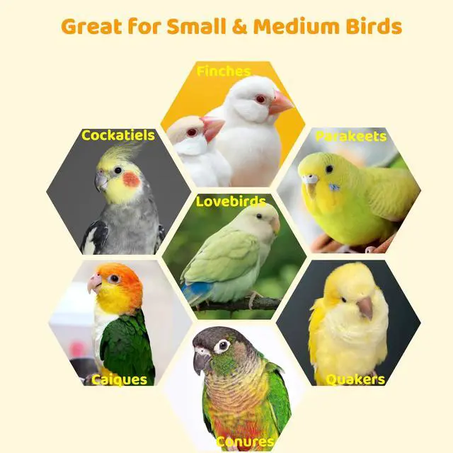 Alt view image 6 of 6 - Bird Swing Perch Stainless Steel, Toy for Small Animal Parakeet Cockatiels Conures, Hanging Bird Cage Accessories to Balance Training for Budgies, Parrotlets, Rats, Hamsters, Sugar Gliders