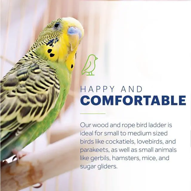 Alt view image 2 of 6 - Rope Ladder Bird Toy Hanging Birdcage Toy for Climbing | Accessories for Small to Medium Birds, Foot Exercise, Beak Use, Mental Enrichment, and Interactive Play