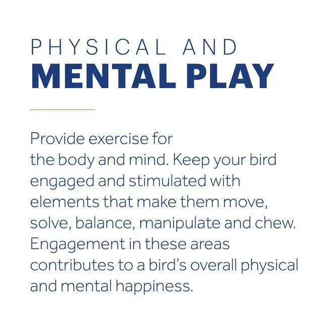 Alt view image 5 of 6 - Rope Ladder Bird Toy Hanging Birdcage Toy for Climbing | Accessories for Small to Medium Birds, Foot Exercise, Beak Use, Mental Enrichment, and Interactive Play