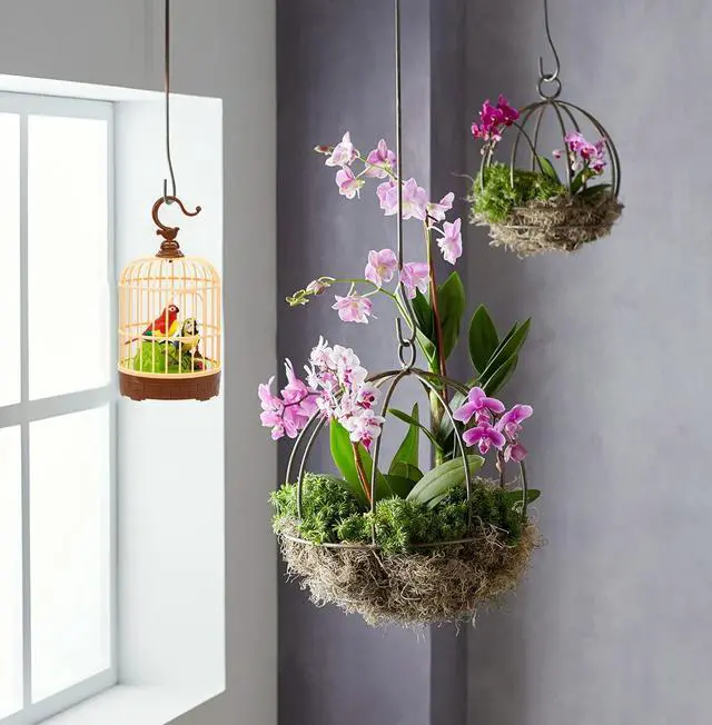 Alt view image 5 of 6 - Voice-Activated Mini Birdcage Toy Birds - Chirping & Wings Fluttering | with 2 Singing Realistic Parrot Birds, Farmhouse Home Decor, Christmas Birthday Gifts for Baby Toddler Kids Children