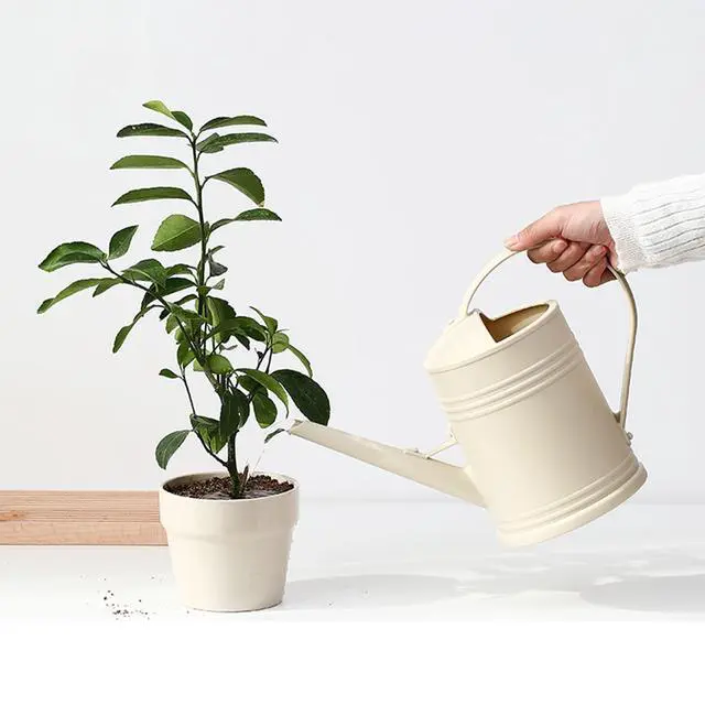 Alt view image 4 of 7 - Watering Can for Indoor Plants, Flower Watering Can, Plastic Water Can for Plants with Sprinkler Head 68 oz, 1/2 Gallons