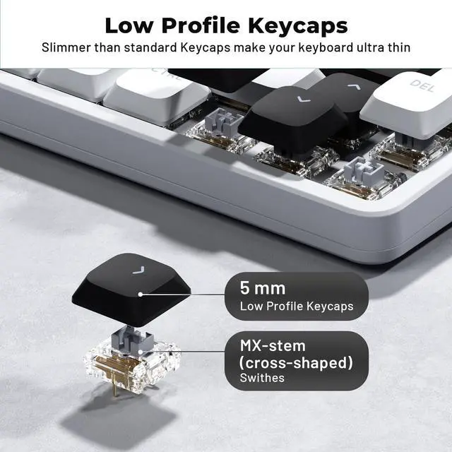 Alt view image 4 of 7 - XVX Low Profile White Keycaps, Shine Through Keycap Set, Double Shot PBT Key caps, Bow Keyboard Keycaps Compatibility for 60% 75% 80% 85% 100% MX Switches Mechanical Keyboard