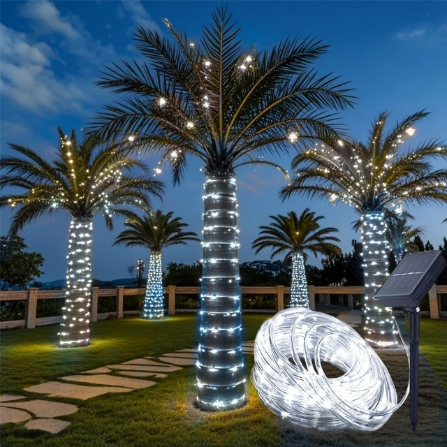 Main image of Solar Rope Light 33FT 100L IP65 Weatherproof Outdoor LED Copper Fairy String Tube Lights for Party Garden Porch Yard Home Wedding Vacation New Year Holiday Decoration Lighting(Cool White)