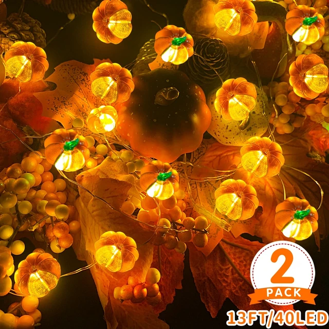 Alt view image 2 of 6 - Fall Decor 2 Pack 3D Halloween Pumpkin Lights Total 13FT 40LED | Fall Decorations for Home Warm White Pumpkin String Lights Battery Operated for Autumn Thanksgiving Harvest Indoor Outdoor
