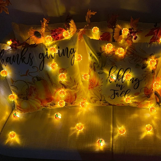 Alt view image 6 of 6 - Fall Decor 2 Pack 3D Halloween Pumpkin Lights Total 13FT 40LED | Fall Decorations for Home Warm White Pumpkin String Lights Battery Operated for Autumn Thanksgiving Harvest Indoor Outdoor