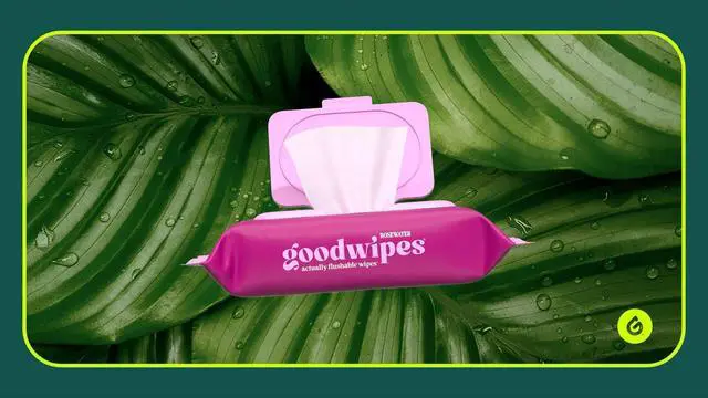 Alt view image 2 of 7 - goodwipes Flushable Butt Wipes, Rosewater Scented, 2 Pack, 100 Total XL Wipes