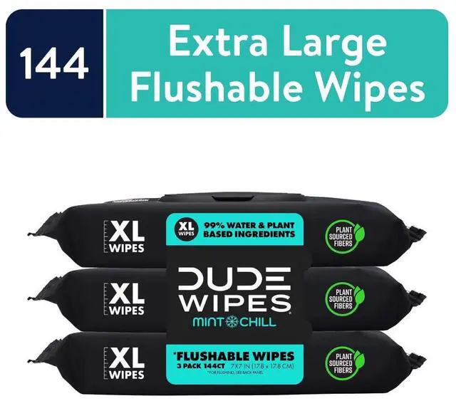 Main image of DUDE Flushable Wipes, Extra Large Mint Chill Wet Wipes, 48 Count, 3 Pack (144 Total)
