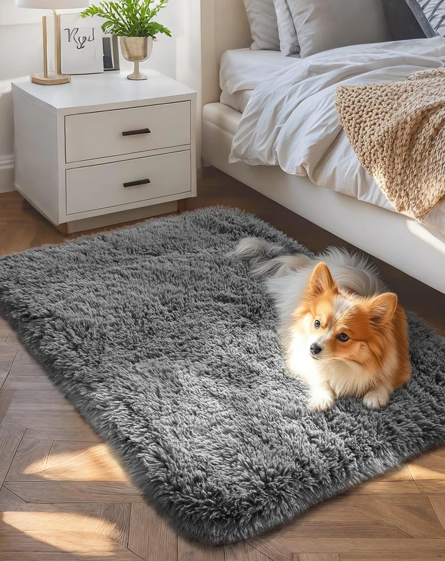 Main image of Ophanie Small Rug Upgrade Non-Slip Throw Bedside Area Rug, Fluffy Soft Grey, 2x3 Ft, Indoor Door Entryway Mat, Nursery Home Decor