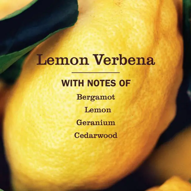 Alt view image 4 of 7 - Mrs. Meyer's Clean Day Multi-Surface Everyday Cleaner, Lemon Verbena Scent, 16 Fl Oz