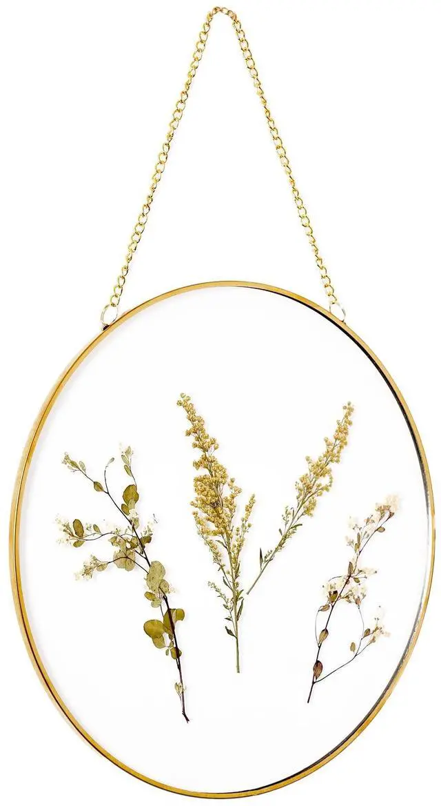 Main image of Mainstays Hanging Gold Circular Framed Glass Dried Pressed Floral Wall Decor, 9x9