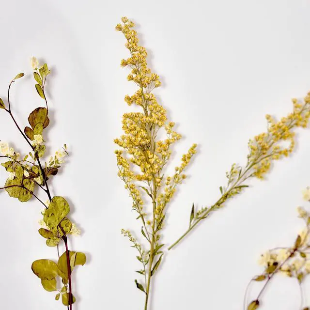 Alt view image 4 of 6 - Mainstays Hanging Gold Circular Framed Glass Dried Pressed Floral Wall Decor, 9x9