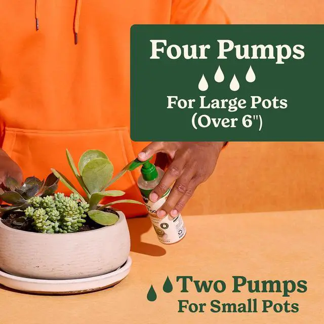 Alt view image 3 of 5 - Miracle-Gro Indoor Plant Food for Cactus and Succulent, Liquid Plant Food, 8 fl. oz.