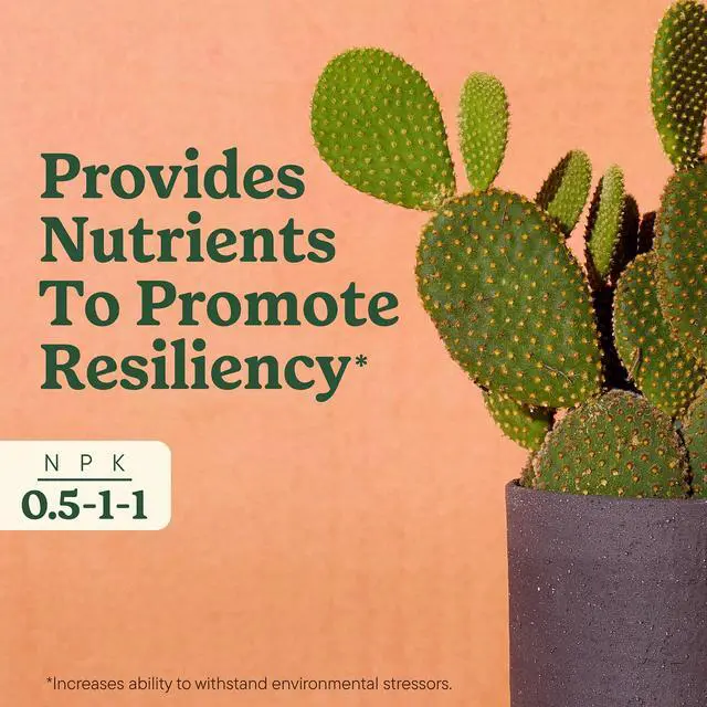Alt view image 5 of 5 - Miracle-Gro Indoor Plant Food for Cactus and Succulent, Liquid Plant Food, 8 fl. oz.