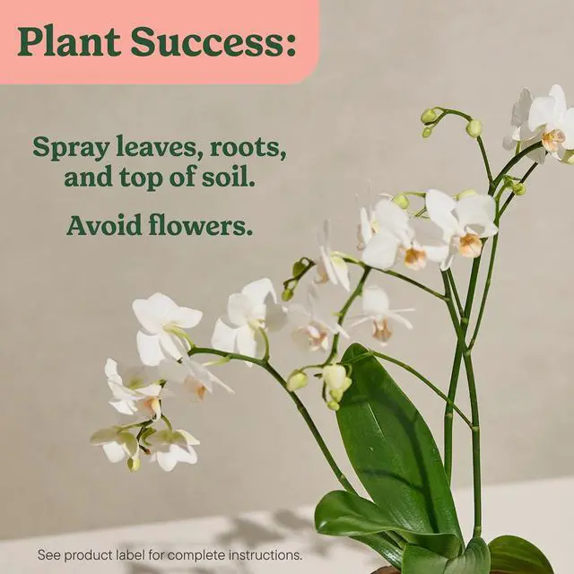 Alt view image 4 of 6 - Miracle-Gro® Indoor Plant Food Mist for Orchids, Orchid Plant Food, 8 fl. oz.