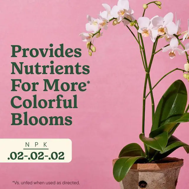 Alt view image 6 of 6 - Miracle-Gro® Indoor Plant Food Mist for Orchids, Orchid Plant Food, 8 fl. oz.