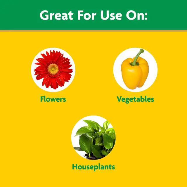 Alt view image 5 of 6 - Miracle-Gro Liquid All Purpose Plant Food, Concentrate, For All Plant Types, 32 oz.