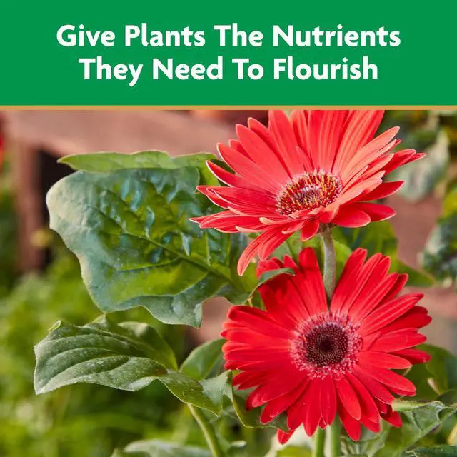 Alt view image 3 of 6 - Miracle-Gro Liquid All Purpose Plant Food, Concentrate, For All Plant Types, 32 oz.