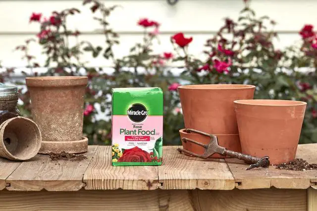 Alt view image 5 of 7 - Miracle-Gro Water Soluble Rose Plant Food, 1.5 lbs., Feeds Instantly
