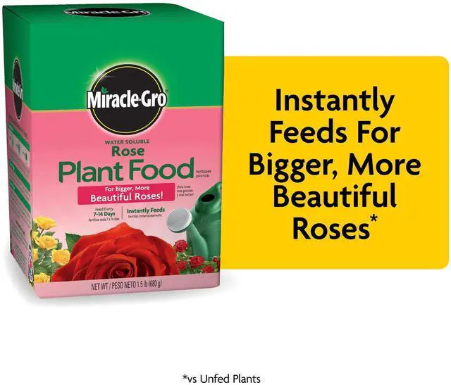 Main image of Miracle-Gro Water Soluble Rose Plant Food, 1.5 lbs., Feeds Instantly