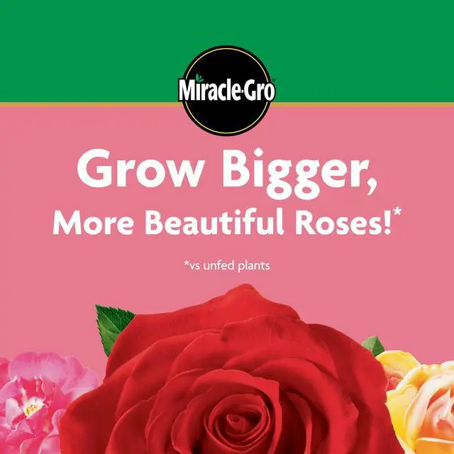 Alt view image 4 of 7 - Miracle-Gro Water Soluble Rose Plant Food, 1.5 lbs., Feeds Instantly