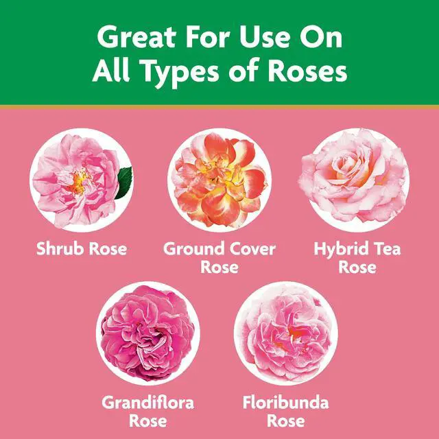 Alt view image 3 of 7 - Miracle-Gro Water Soluble Rose Plant Food, 1.5 lbs., Feeds Instantly