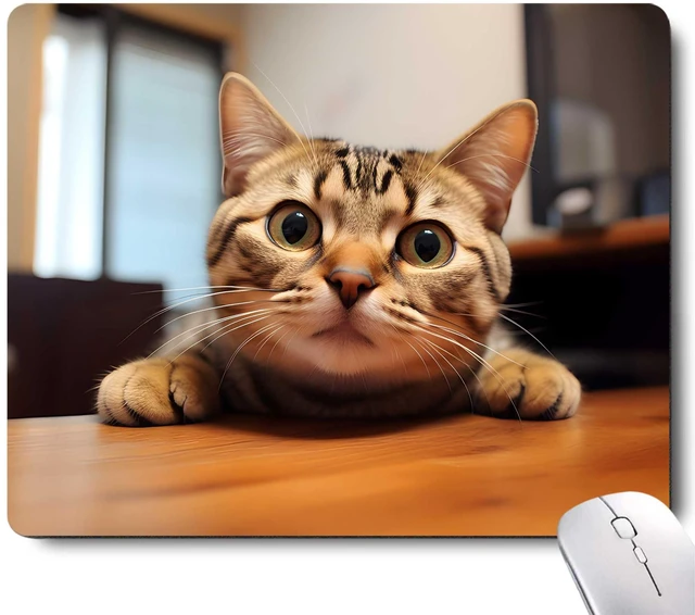 Main image of Cute Cat Square Mouse Pads for Wireless Mouse,Small Office Computer Mousepad for Desk Laptop,Non-Slip Rubber Base Mouse Pads for Desk Laptop Computer
