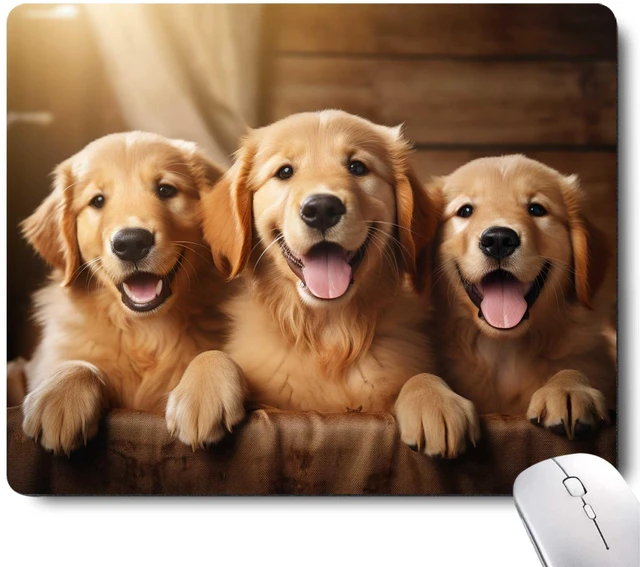 Main image of Cute Dog Mouse Pad,Three Adorable Golden Retrievers Healing Smiles That Blend Seamlessly with The Warmth of a Lazy Afternoon Sun Mouse Pad, Non-Slip Rubber Base Mousepad Waterproof for Kids Desk Pad