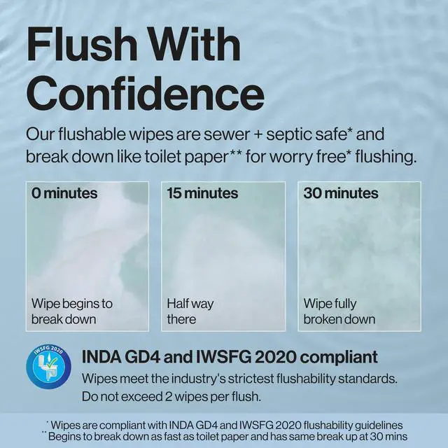 Alt view image 2 of 6 - The Honest Company Flushable Wipes, Plant-Based, 126 Count, Gilded Wings