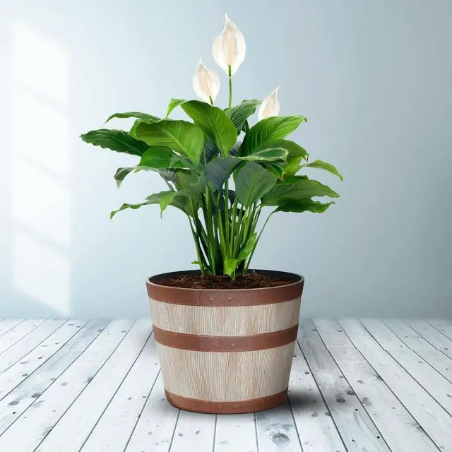 Alt view image 5 of 6 - Better Homes & Gardens 12.9" x 12.9" x 10" Whiskey Barrel Light Brown 100% Recycled Resin Planter