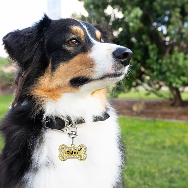 Alt view image 2 of 6 - Stainless Steel Pet Collar Tag Clip, Contour Carabiner-AB Sets