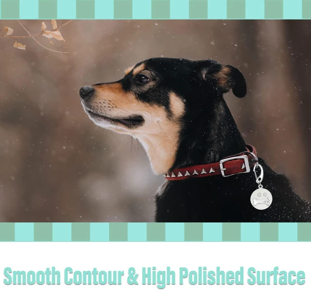 Alt view image 2 of 6 - Pet Tag Quick Clip/Sping-Load Hook Combo for Pet ID Tags - 1 Per Standard/Medium/Large