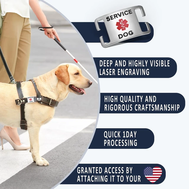 Alt view image 2 of 6 - Silent Slide-On Service Dog ID Tag, Large, Silver