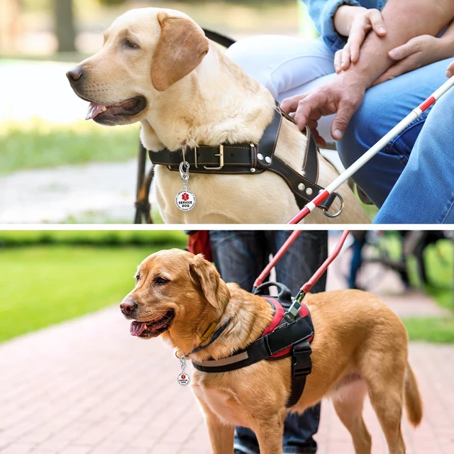 Alt view image 5 of 7 - Professional Service Dog Identification Tag | Emotional Support Animal (ESA) Double-Sided ID | Red Medical Alert Symbol & Federal Law Text | Durable Stainless Steel Tag for Vest or Harness