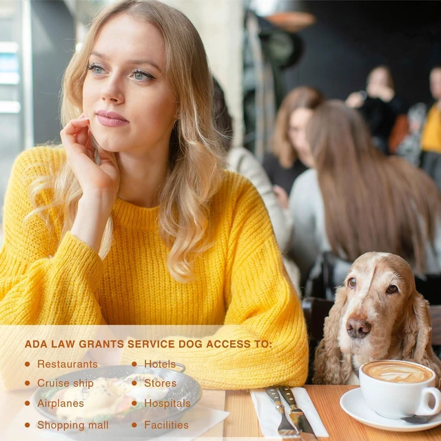 Alt view image 6 of 7 - Professional Service Dog Identification Tag | Emotional Support Animal (ESA) Double-Sided ID | Red Medical Alert Symbol & Federal Law Text | Durable Stainless Steel Tag for Vest or Harness