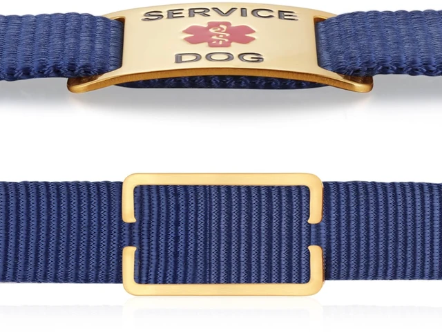 Alt view image 4 of 6 - Silent Slide-On Service Dog ID Tag, Stainless Steel S/G