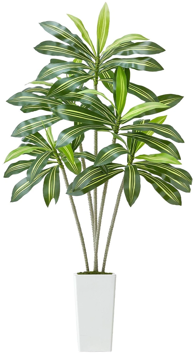 Alt view image 9 of 9 - 6ft Artificial Dracaena Tree Fake Plant with White Planter Indoor