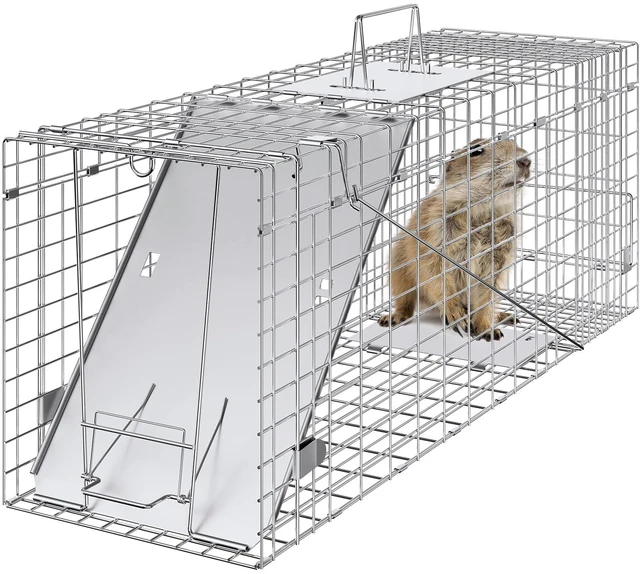 Alt view image 9 of 9 - Live Animal Cage Trap, 31" x 10" x 12" Humane Cat Trap Galvanized Iron, Folding Animal Trap with Handle for Rabbits, Stray Cats, Squirrels, Raccoons, Groundhogs and Opossums