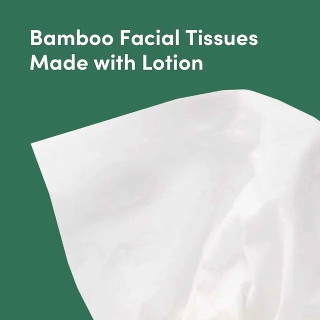 Alt view image 5 of 7 - Bamboo Facial Tissues with Lotion, 3-Ply, FSC Certified, 12 Pack, 60 Sheets Per Box, 720 Total